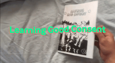 Learning Good Consent: An essential zine on relational boundaries